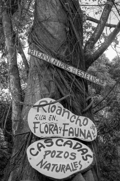 Kolumbien - Río Ancho - The Kogi Tribe and Special Lost City Trek - Ancestral Colombia Adventure trip: - 2