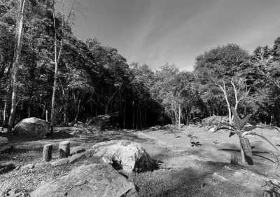 Kolumbien - San Francisco - Experience Glamping, Hiking, Horse Riding, and Cultural Delights: Discover San Francisco-Cundinamarca and Bogotá, Colombia - 6