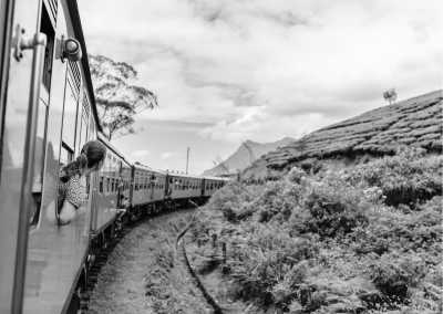 Sri Lanka - Ella - Explore the Hidden Gems of Sri Lanka: 11 Nights of Adventure on a Budget