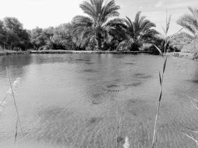Egypt - Siwa Oasis - Siwa Oasis Tour from Cairo, Egypt. - 3