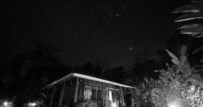 Costa Rica - La Gamba centro - Co-working und Volunteering im Regenwald Costa Ricas - 3