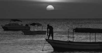 Tanzania - Zanzibar - Zanzibar & All big Parks in Tanzania.