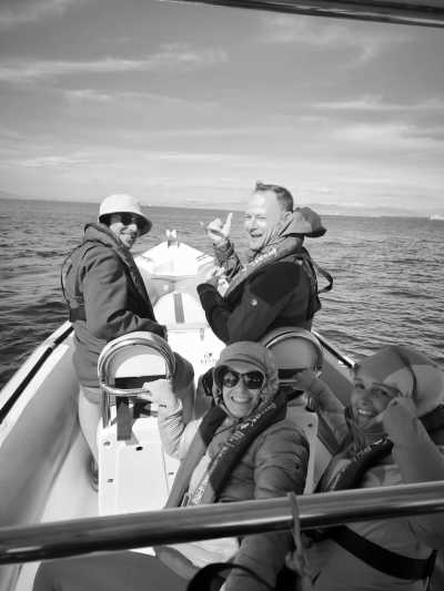 Südafrika - Cape Town - 🌞Ultimate 10-Day South Africa Road Trip🇿🇦Cape Town & The Garden Route – 🌊Adventure, Nature & Epic Vibes! - 17