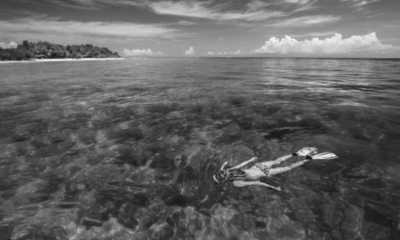 Indonesia - Gili Trawangan - Lombok, Indonesia 3 Gili Islands Excursions, Cheers and Relaxing ☀️ - 10