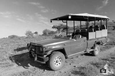 South Africa - Addo Elephant National Park - Cape Town and the Garden Route 🇿🇦 Explore South Africa with a Local - 3