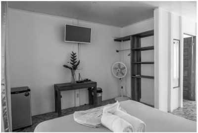 Costa Rica - Puerto Viejo de Talamanca - Work and Live in Costa Rica's Wonderful South Caribbean Side! - 27