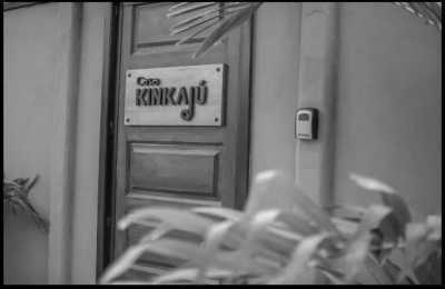 Costa Rica - Puerto Viejo de Talamanca - Work and Live in Costa Rica's Wonderful South Caribbean Side! - 32