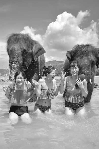 Thailand - Bathing with Elephants - Swimming with Elephants and Snorkeling in Phuket, Thailand: Island Paradise, Majestic Elephants, Spectacular Snorkeling, and Local Cuisine - 6