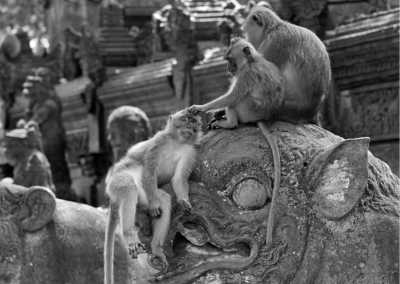 Indonesien - Ubud - Travel to Bali, Indonesia | 10 Days of Surfing, Snorkelling and Exploring - 1