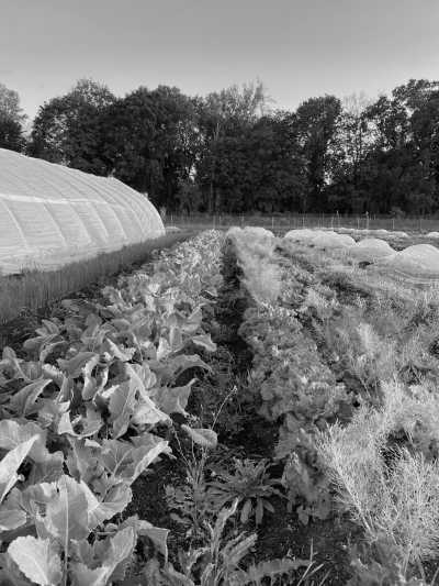 Germany - Berlin - Berlin Culinary Tour: Explore the Best Restaurants, Coffee, Pastries, and More in Germany! - 2