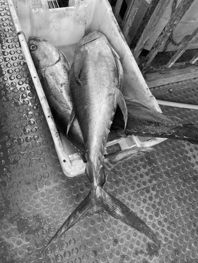 Welt - Mindelo - Inselüberquerung Santo Antao (Kapverden) - 3