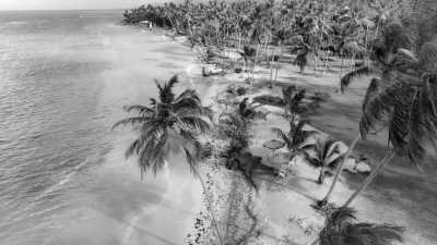 Dominikanische Republik - Samaná - Get a taste of The Dominican Republic - One month trip in Paradise, rum tasting and more! - 5