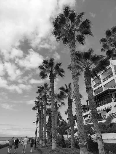 Spain - Playa de las Américas - ☀️🏝️Tenerife Sportslife: Surfing  🏄🏻 Hiking  🥾 Kayaking 🚣🏻‍♀️ Beach Volley  🏐 and More in Tenerife