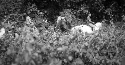 France - Nans-les-Pins - Unforgettable Summer in the South of France: Countryside Accommodation near Marseille, Aix-en-Provence, and the French Riviera - 1