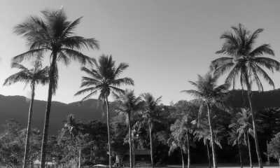 Brazil - Maresias - Travel Like a Local to North Shore of São Paulo - 3