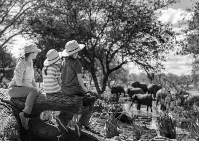 Tanzania - Tanzania Safari Trip - Serengeti Wildbeest migration 🇹🇿 with a Local - JoinMyTrip