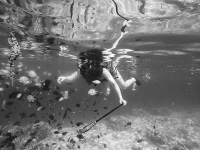 Indonesien - Kanawa Island Resort - Explore Komodo Island : The Real Jurassic Park - 8