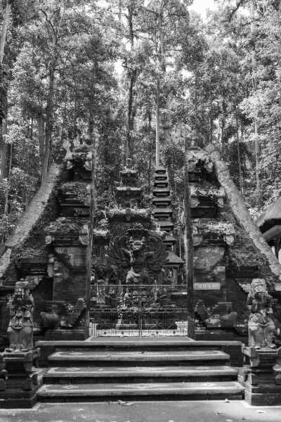 Indonesien - Sacred Monkey Forest Sanctuary - Bali Bliss: Explore Ubud, Waterfalls, Nusa Penida Island Gems and More! - 4