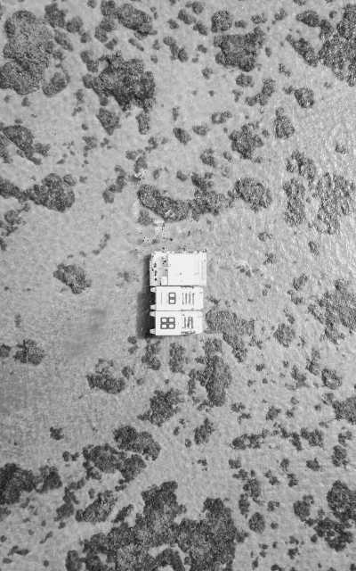 Brazil - Maracajaú - Explore the brazilian Caribbean as a backpacker: Jericoacora, Maracajaú, Pipa, Porto de Galinhas, Maragogi and Maceió