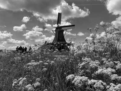 Niederlande - Amsterdam - 🎶 ADE 2025 | Girls-Only Music Festival Trip in Amsterdam, Netherlands - 3