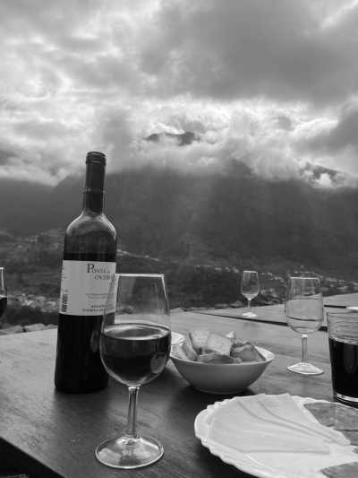 Portugal - Fanal Forest, Madeira - Madeira Magic - Explore the Island with a Local - 1