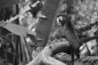 Kolumbien - Cali - Visit Colombian main cities with a local - as a local! - single accommodation