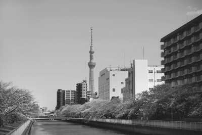Japan - Tokyo - Discover Japan: A 7-Day Journey through Tokyo and Osaka - 1