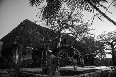 Tanzania - Jambiani - Zanzibar Coworking Experience: Your Journey Starts Here - 7