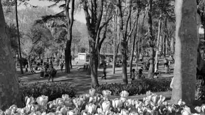 Türkei - Gülhane Park - Long Weekend All-Inclusive Istanbul Trip with a Local Guide