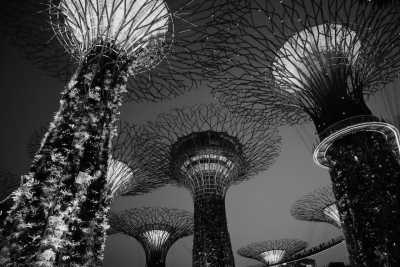 Singapore - Gardens by the Bay - Discover Singapore's Magic: Join Our Group Trip for Exhilarating Experiences!