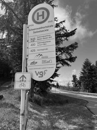 Deutschland - Camp Seibelseckle - Travel Through the Black Forest, Germany - 3