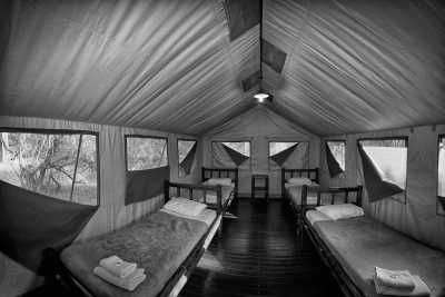 South Africa - Tamboti Tented Camp - Wilderness Expedition: Discovering Kruger's Hidden Gems, South Africa Trip!
