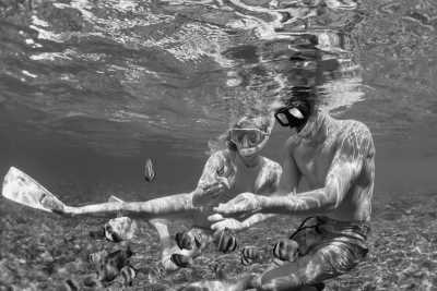 Egypt - Ras Mohamed Nature Reserve - Summer Farewell Adventure in Egypt 🐬! Snorkeling, Camel Riding, and more adrenaline-filled adventures! - 2