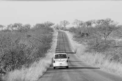South Africa - O.R. Tambo International Airport - South Africa Roadtrip - Kruger Park & Indian Ocean - 1