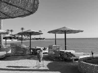 Egypt - Hurghada - Explore Incredible Diving Adventures in Egypt: Unforgettable Diving Trip - 1