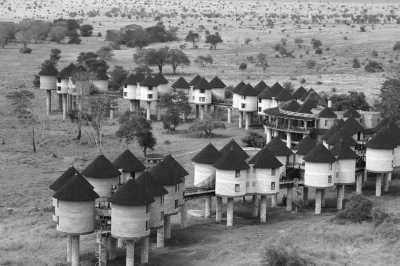 Kenia - Salt Lick Safari Lodge - Enjoy a Short Safari on the footprints of Finch Hattons in Tsavo West National Park Kenya - 2