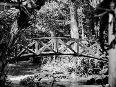 Mexico - San Luis Potosí - The BIG Mexican road trip, in a swimmers paradise! - 3