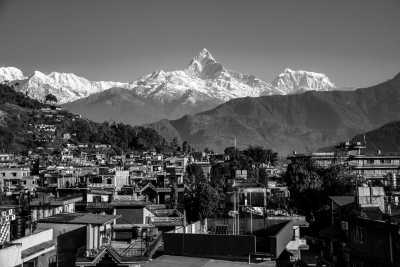 Nepal - Pokhara - Jungle Trip in Nepal - Jungle Safari, Elephants, Rhinos, and More | Wildlife Trip - 2