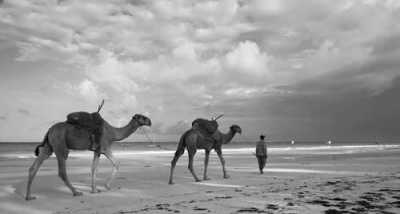 Kenia - Diani Beach - Kenya Adventure Safari + Beach Stay (private room fits 1 pax) - 7