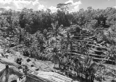Indonesien - Ubud - Unforgettable Summer Break in Indonesia: Embark on an Exciting Adventure in Bali - 1