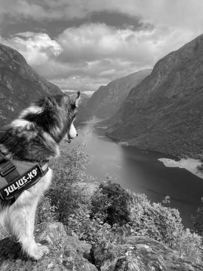 Norway - Best of Norway with my huskies 🐾⛰️ | Jotunheimen, Fjords & Valleys | Hiking trip - JoinMyTrip