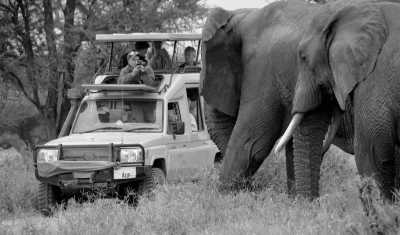 Uganda - Murchison Falls National Park - Gorilla And Wildlife Safari Trip In Uganda - 1