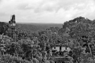 Guatemala - Tikal - Discover Guatemala: Volcanoes, Jungle & Mayan Wonders - 3