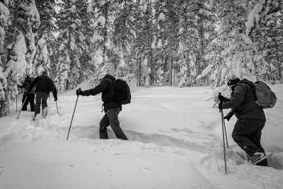 Finnland - Levi - Fotografieren lernen in Finnland - Eine unvergessliche Fotoreise im hohen Norden - 1