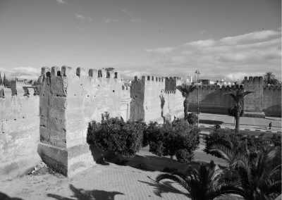 Morocco - Taroudant - Experience Morocco's Best Adventure: Surfing, Camel Riding, and Camping under the Stars