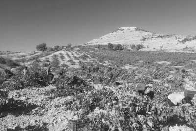 Libanon - Deria - Discover Lebanon's Coastline from Beirut to Batroun - 22