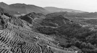 Italien - Valdobbiadene - 🇮🇹 La Dolce Vita | Couple Escape | Venice, Prosecco & Wellness - 1