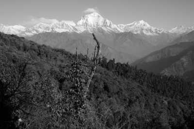 Nepal - Ghorepani Poon Hill Trek - The Annapurna Trek through Nepal's Majestic Himalayas