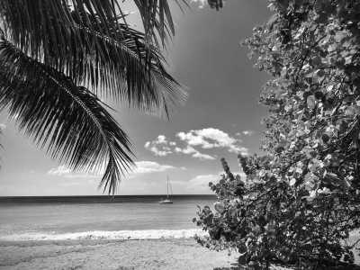 United Arab Emirates - Sharjah - Ultimate UAE Adventure: A Week of Exploration and Excitement - 3