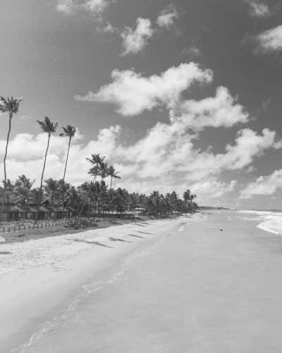 Brazil - Maceió - Explore the brazilian Caribbean as a backpacker: Jericoacora, Maracajaú, Pipa, Porto de Galinhas, Maragogi and Maceió